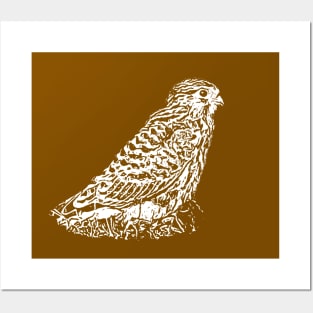 Kestrel Posters and Art